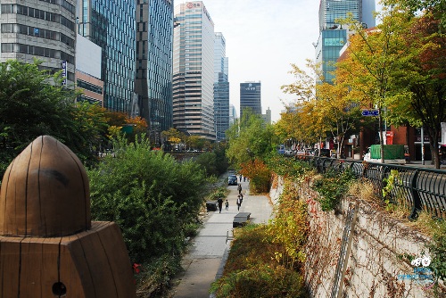 upload/duk/content//Cheongyecheon-Stream-Autumn-Le-9710-8808-1447064538.jpg