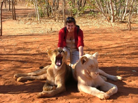 upload/duk/content//zambia-livingstone-lions-abbie-450x337.jpg