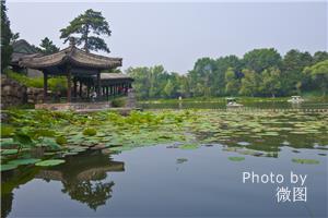 Top Places to Visit in China in Summer