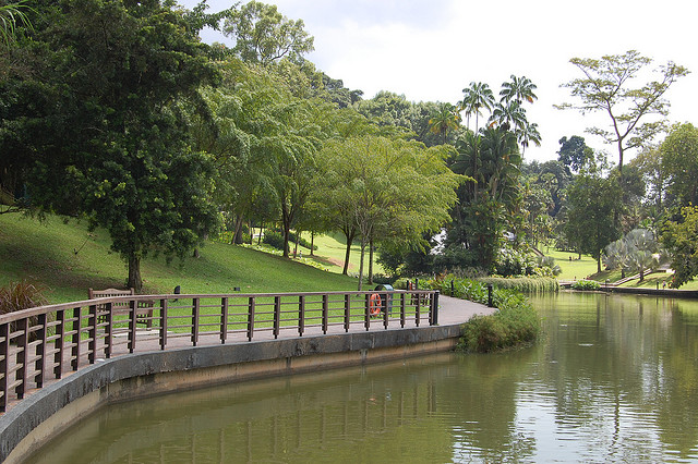 Singapore Botanic Gardens