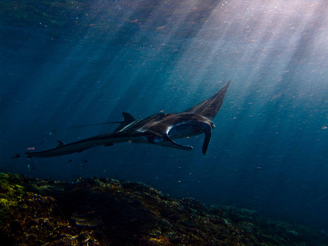 Nusa Lembongan