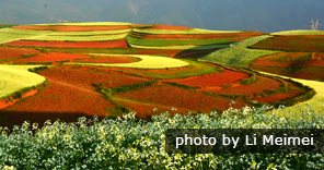 red land