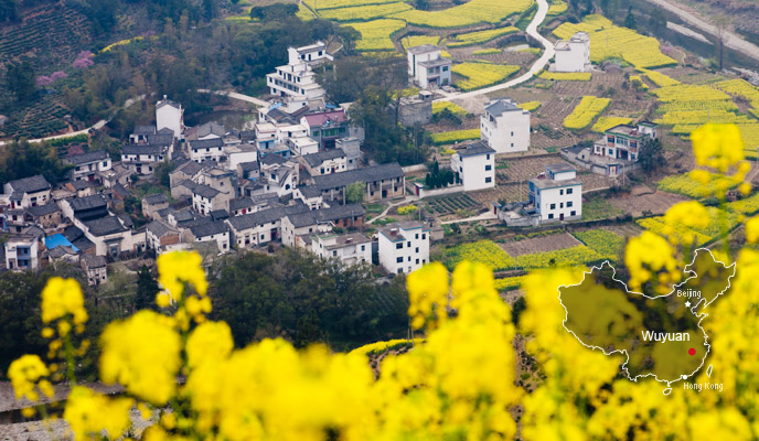 Rope flowers, Wuyuan