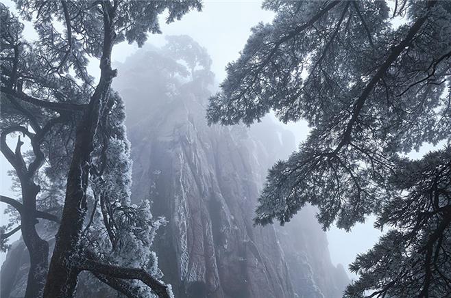 yellow mountain winter