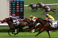 Horse Racing
